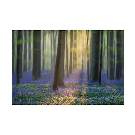 Adrian Popan 'Daydreaming Of Bluebells' Canvas Art, 22x32